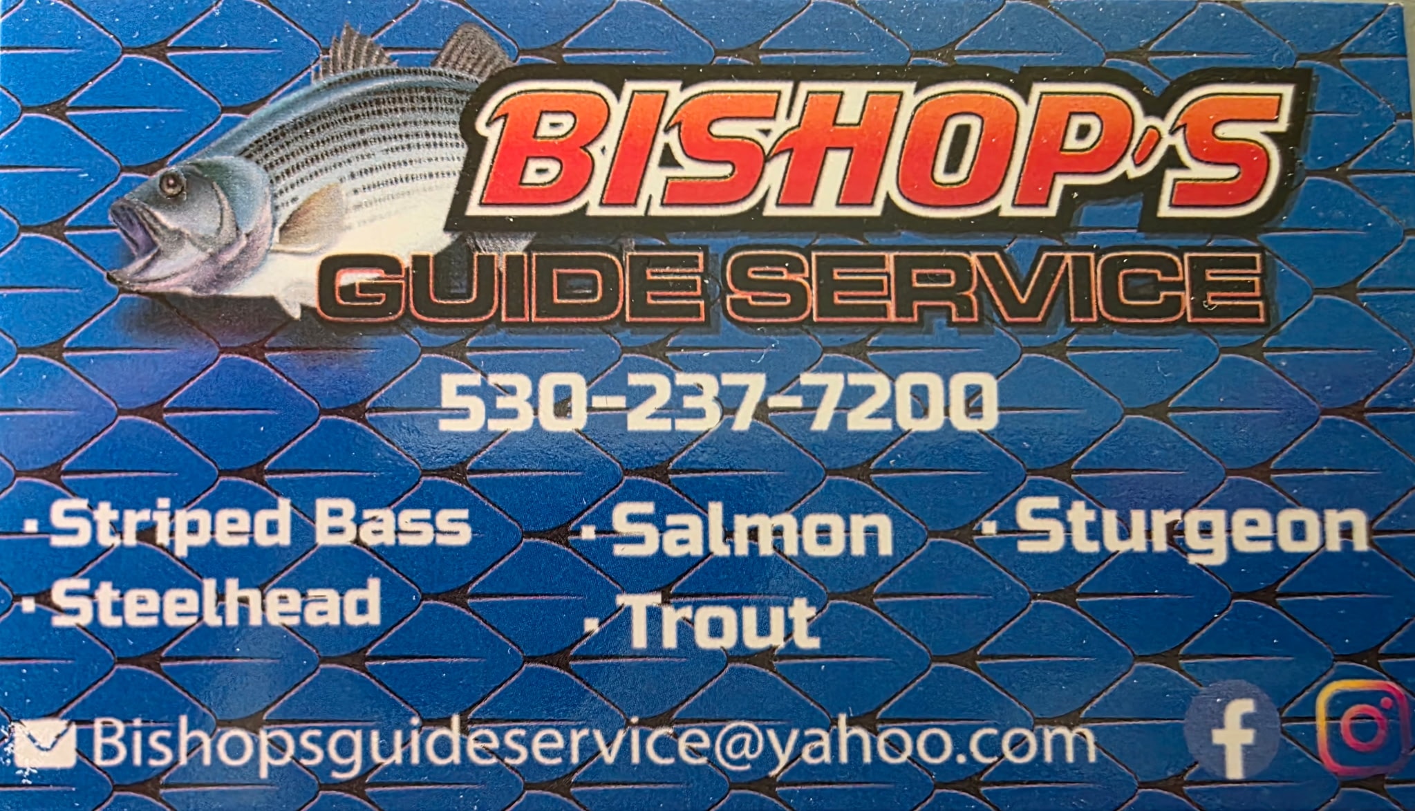 Bishop's Guide Service logo