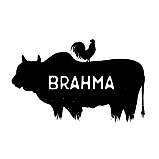 Brahma Bar & Grill logo